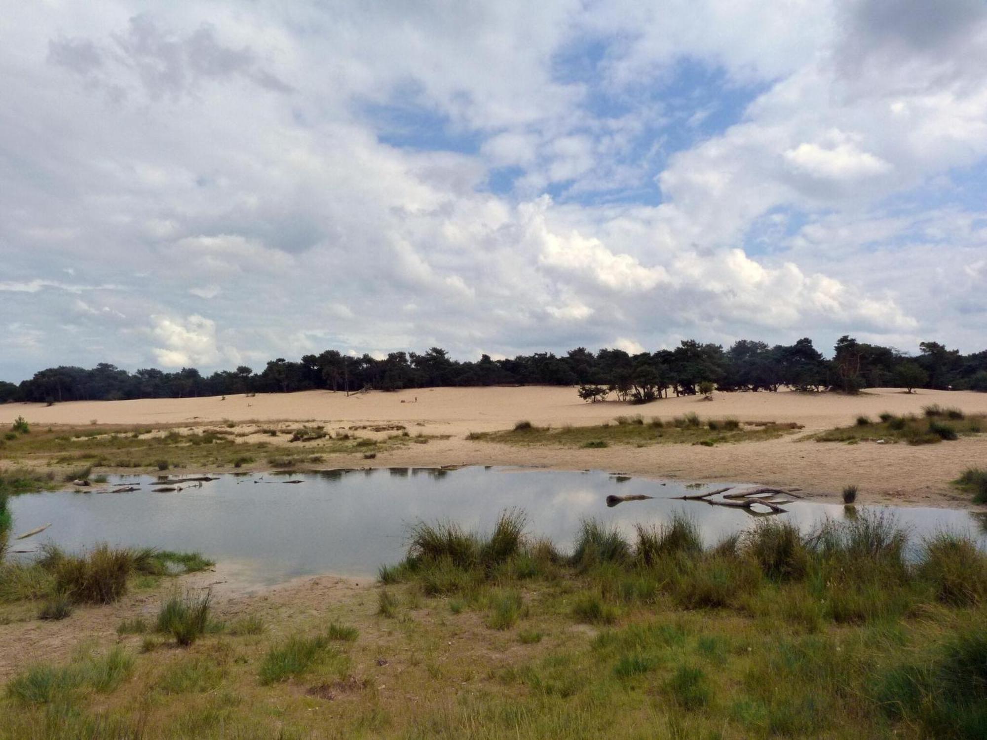 Chalet Near The Loonse And Drunense Duinen Udenhout 外观 照片